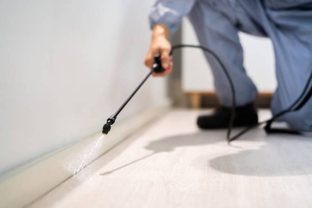 Licensed Rodent Control service in Liberty, UT - Nex Pest Control