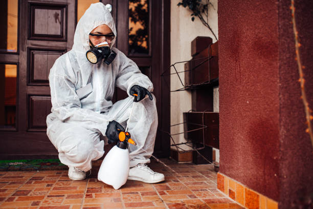 Reliable Rodent Control contractor in Liberty, UT by Nex Pest Control