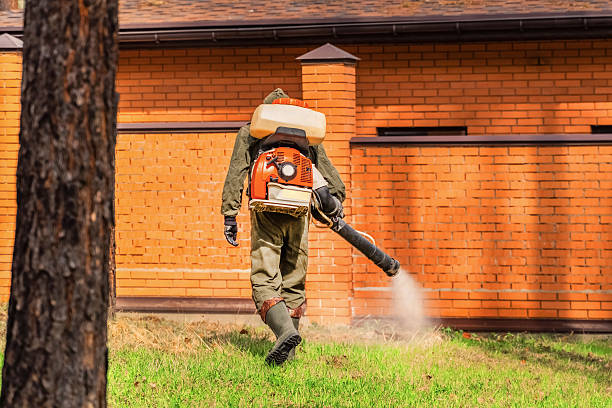 Trusted Bed Bug Control service in Liberty, UT - Nex Pest Control